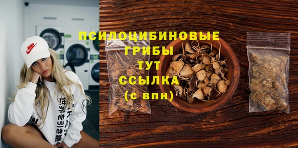 мяу мяу мука Пересвет