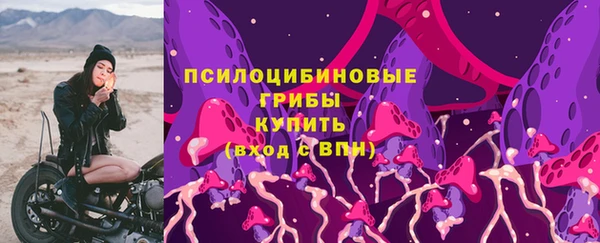 МДПВ Богородицк