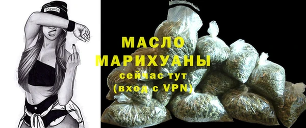 прущий лед Богданович
