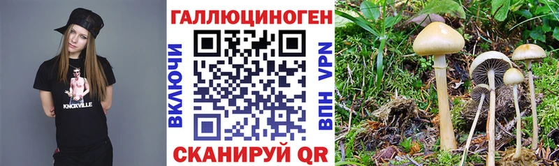 Галлюциногенные грибы GOLDEN TEACHER Улан-Удэ